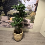 Kunstplant in pot Colours&Green, Black Wiliw Tree